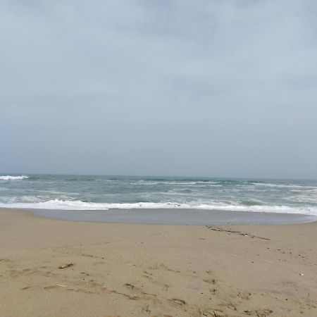 Saint Cyprien - Appart - Piscine-Mer Esterno foto
