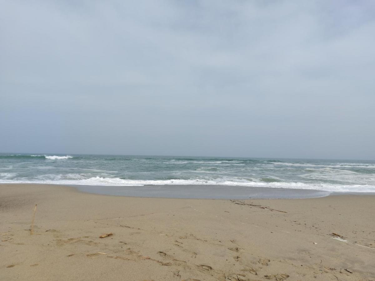 Saint Cyprien - Appart - Piscine-Mer Esterno foto